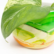 Load image into Gallery viewer, ‘Limeonade’ Alcohol Ink Pot Planter
