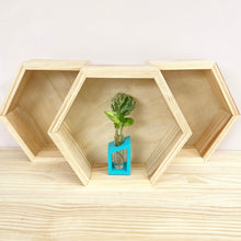 Load image into Gallery viewer, Hexagon Timber Display Nook
